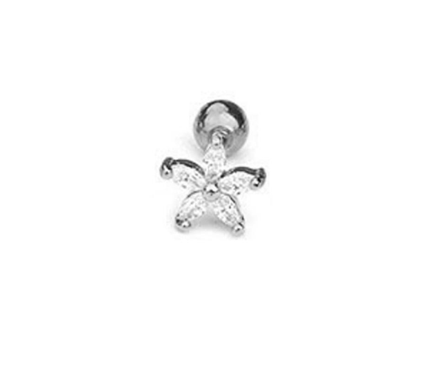 Piercing Silver Zircónica