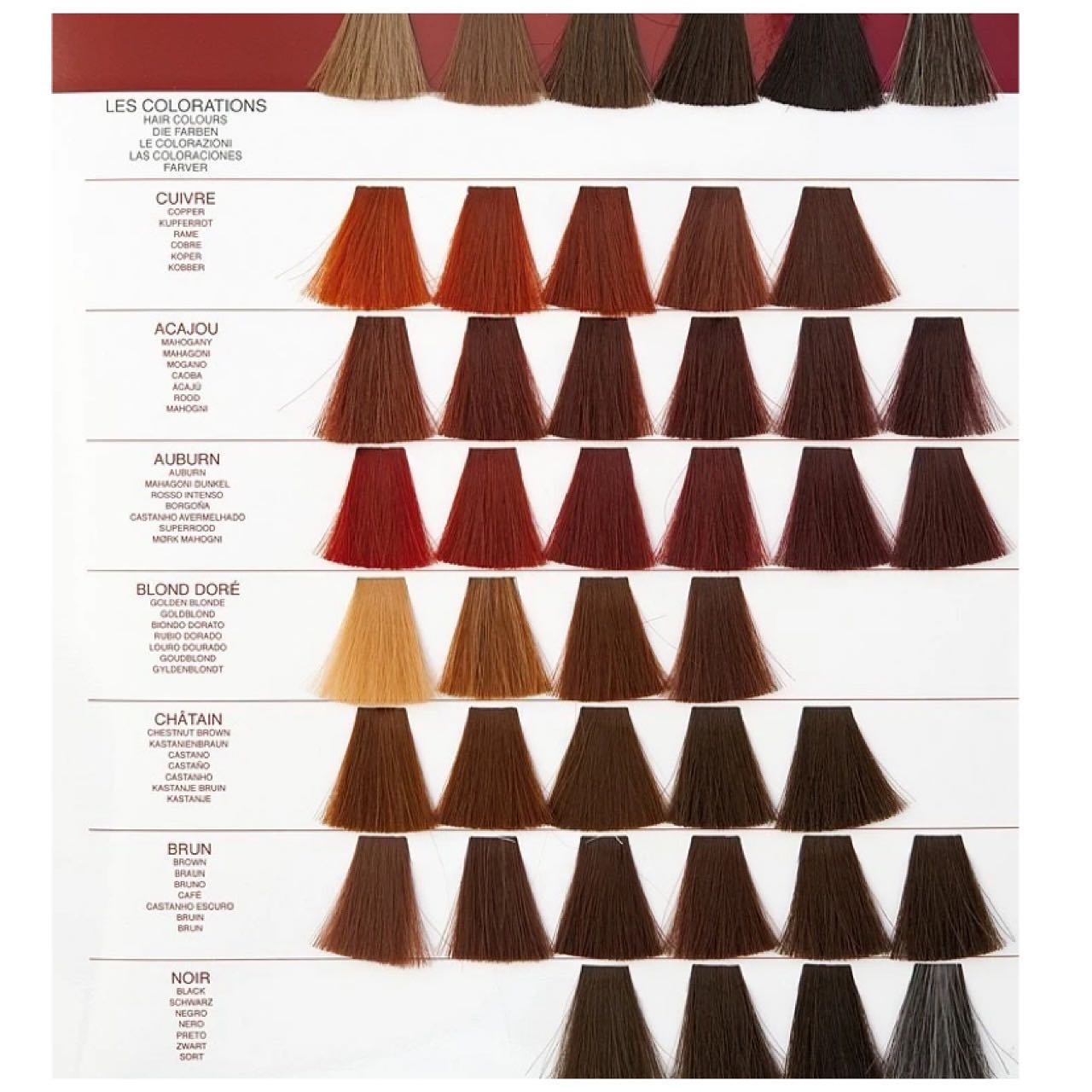 Henné Champô Color