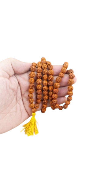 Rudraksha 108 contas